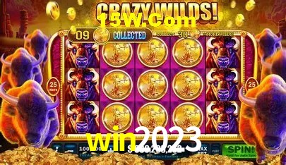 win2023 bet